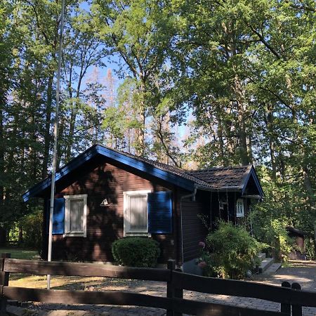 Waldhaus Möhnesee エクステリア 写真