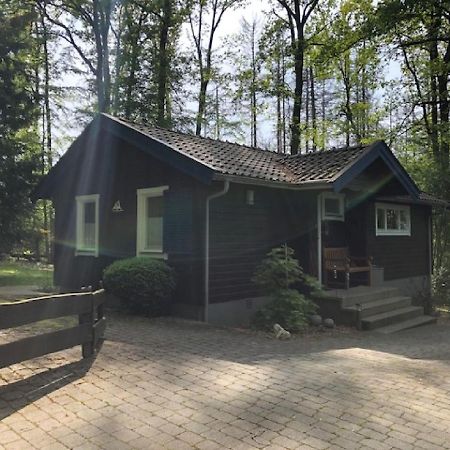 Waldhaus Möhnesee エクステリア 写真