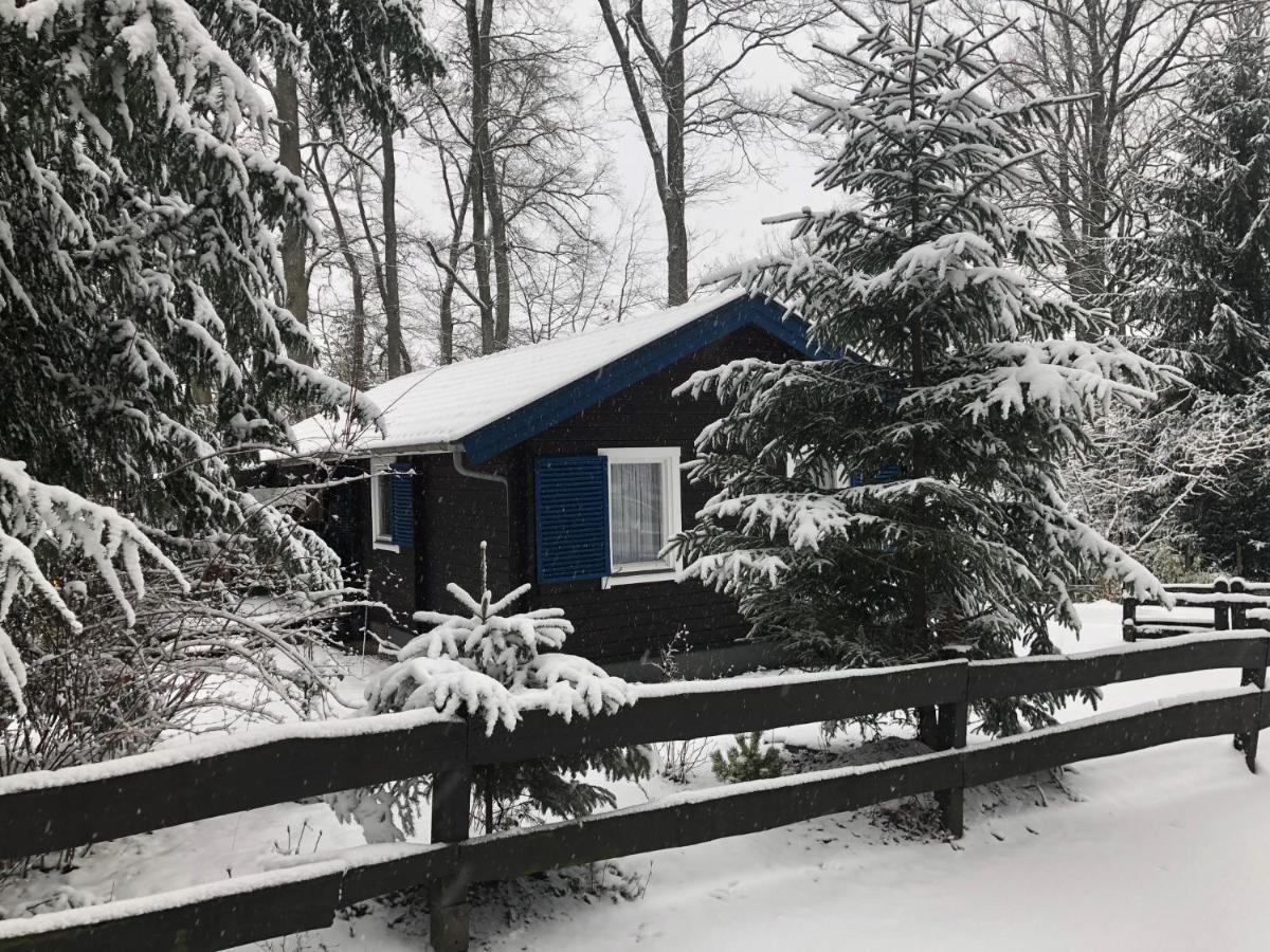 Waldhaus Möhnesee エクステリア 写真